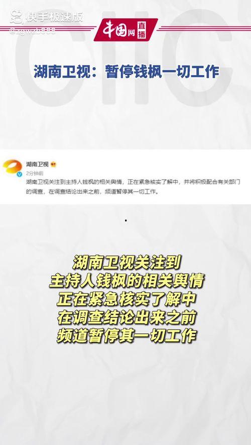 吃瓜娱乐模板,揭秘明星们的“瓜田”奇遇记